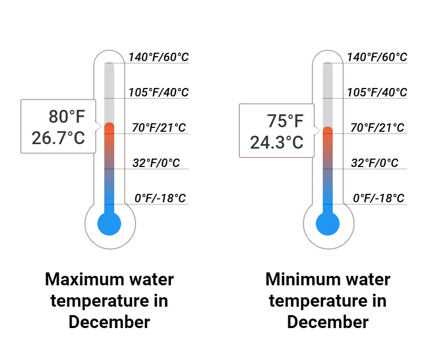 Average Sea temperature